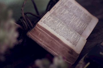Rules <strong>Codex</strong>